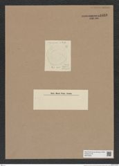 Hyalodiscus sp. (de-Toni-Nr.: Genus 219) Zeichnungen Sammlung Grunow Nr. 9460 (NHMW-BOT-W0379324)
